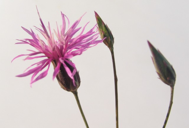 Σχεδιάστε την επίσκεψή σας